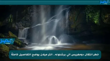 خطر انتقال دومفريس إلى برشلونة.. إنتر ميلان يوضح التفاصيل كاملةً